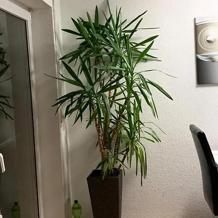 Ferienwohnung * Friedrichshafen